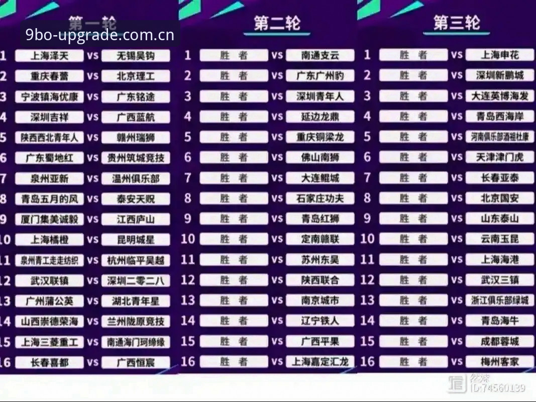 博平台博彩系统常见问题 中国足协第三批禁足名单深度解析:在9博体育平台全面了解赛事管理新规